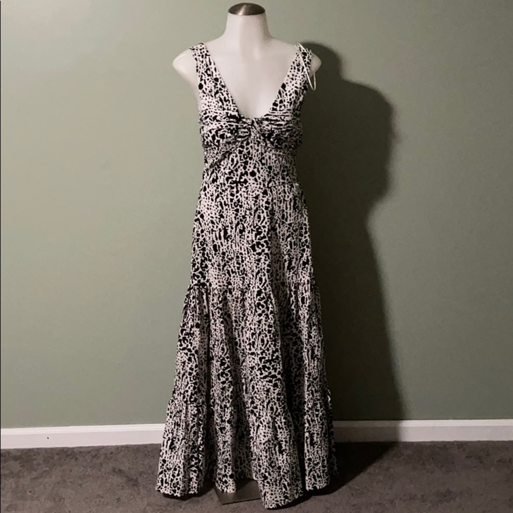 Zara Dress